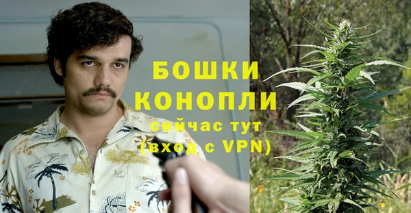 мяу мяу мука Беломорск