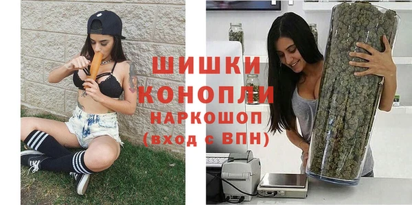 мдпв Богородицк